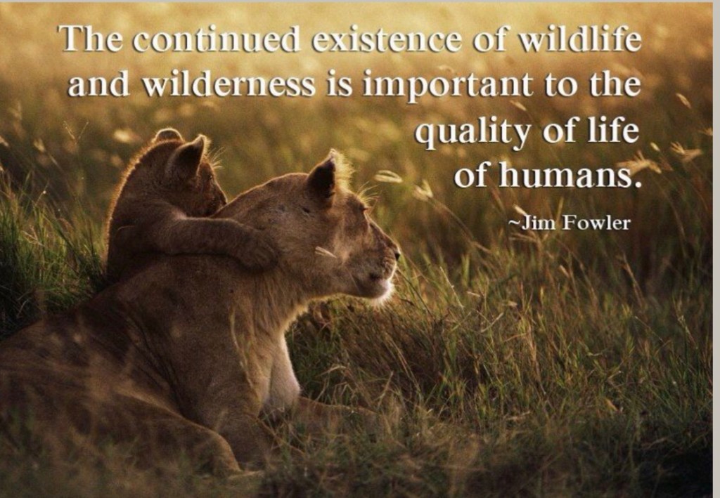 Giraffe As A&nbsp;Pet?