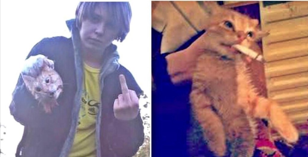 Live And Let&nbsp;Live