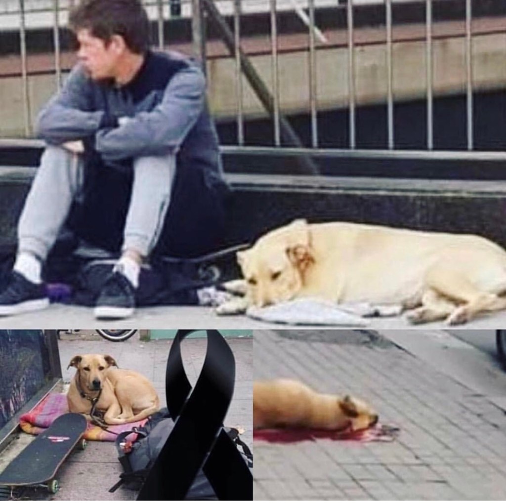 Is It A Crime To Be Homeless And Owning A&nbsp;Dog?