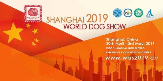 SHANGHAI 2019 World Dog&nbsp;Show