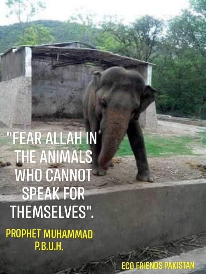 Have Some Fear Before The Day Of Judgement