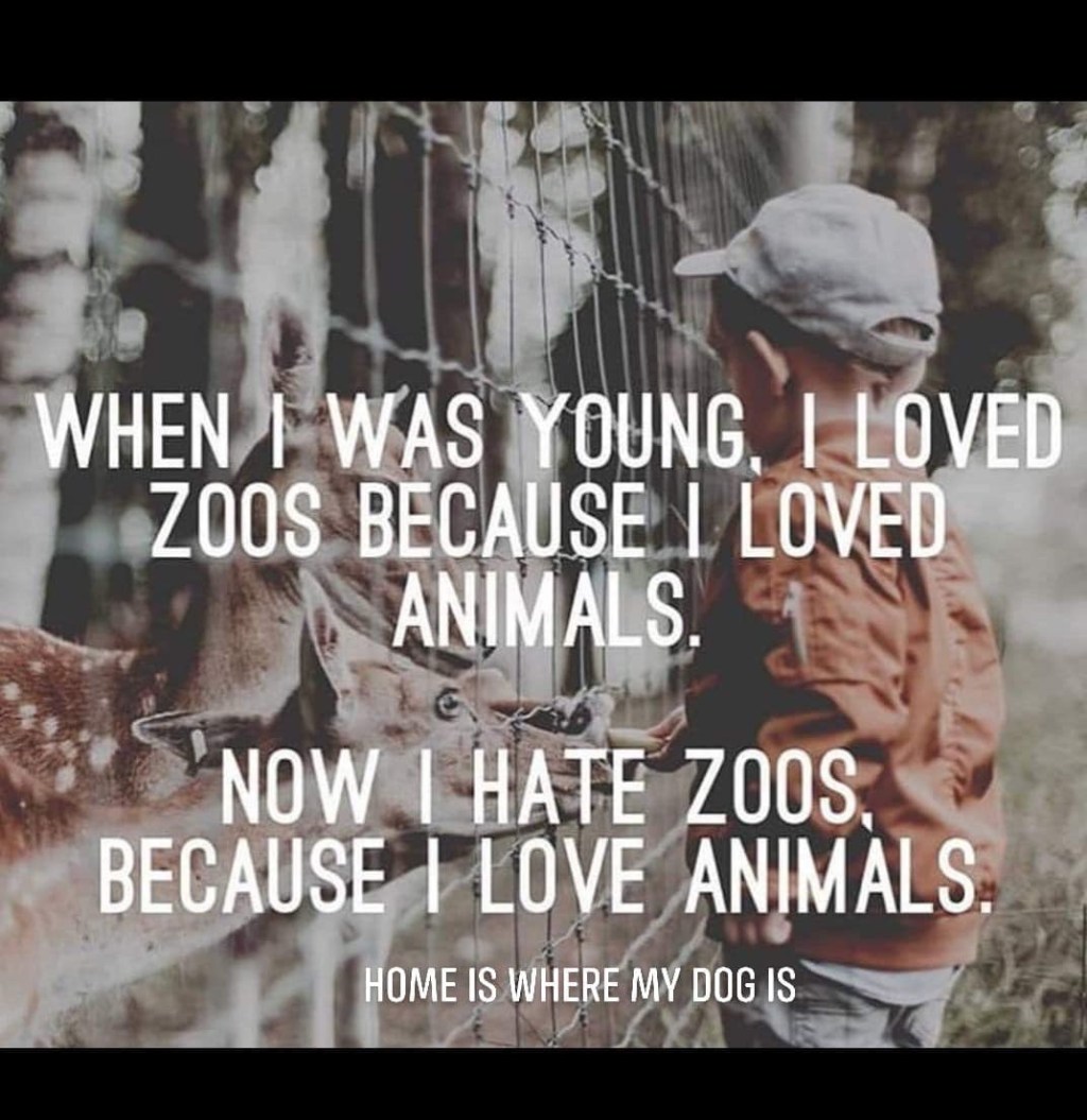 With Time I Realised That Humans Are The Real&nbsp;Monsters!