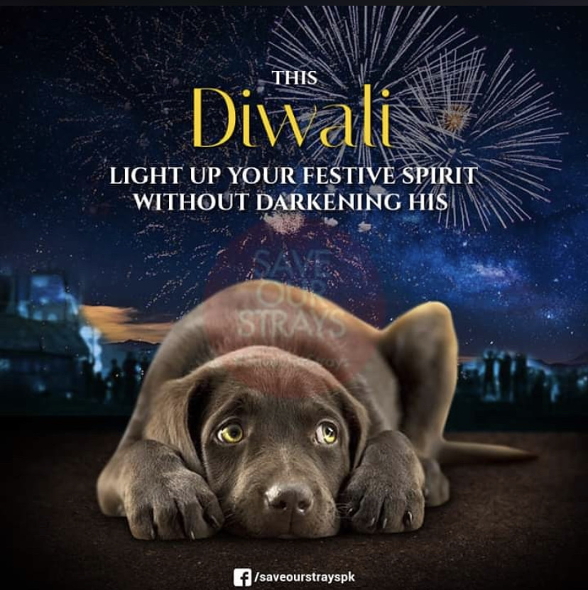 Happy Diwali To All&nbsp;Readers!