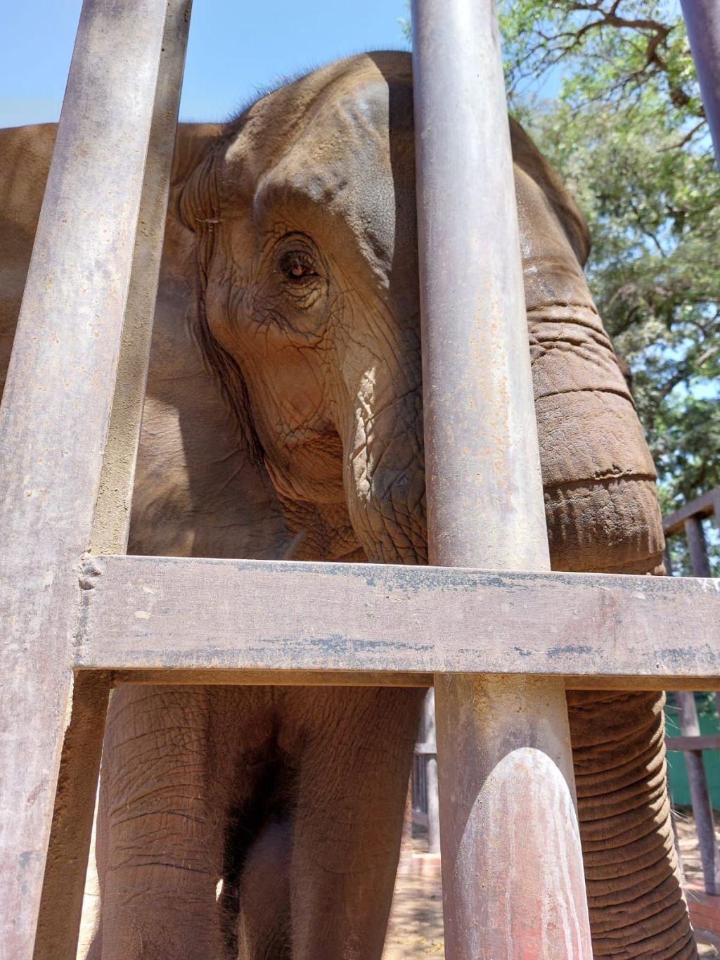 Friday Post: Be Kind To The&nbsp;Animals