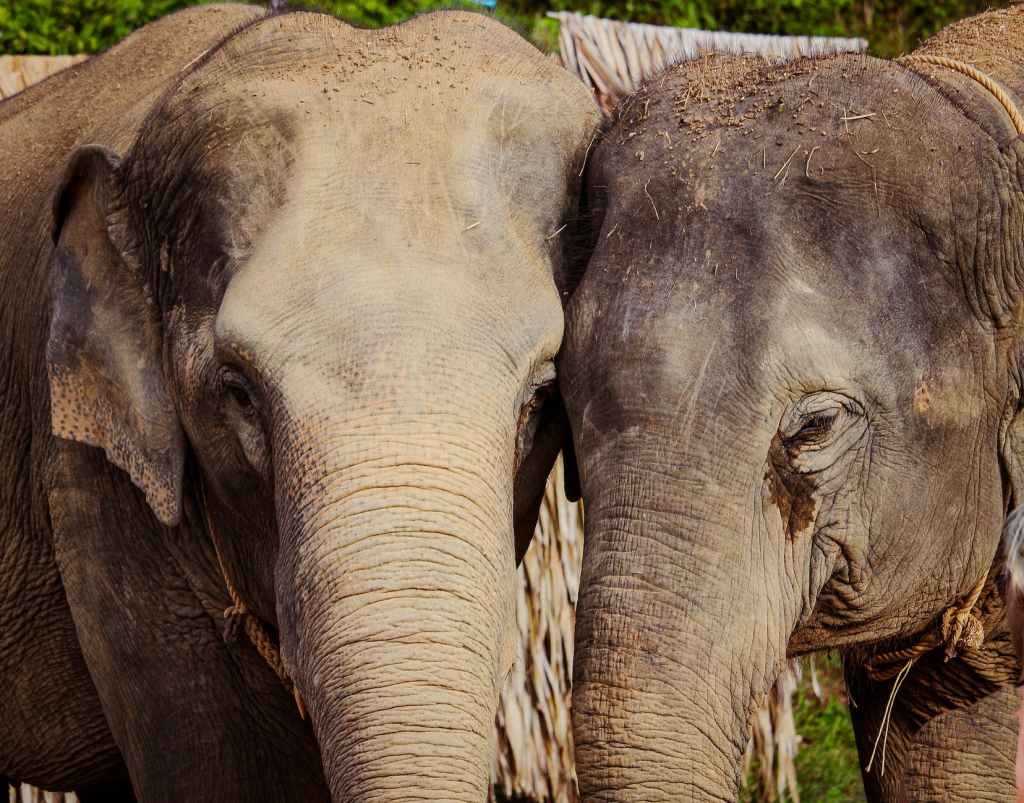 Please Drive Carefully