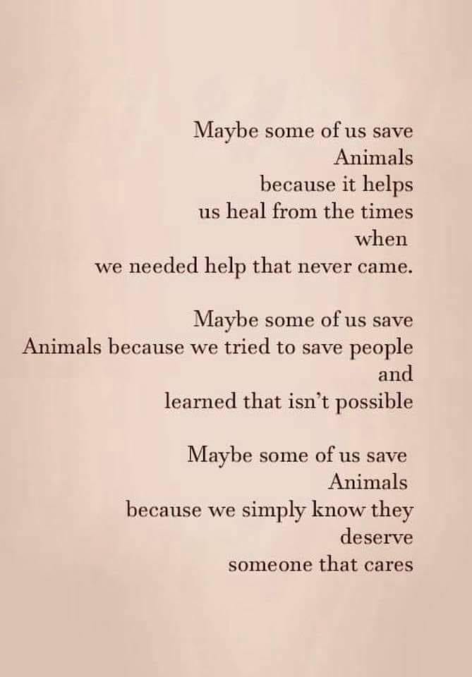 What Is It For&nbsp;You?