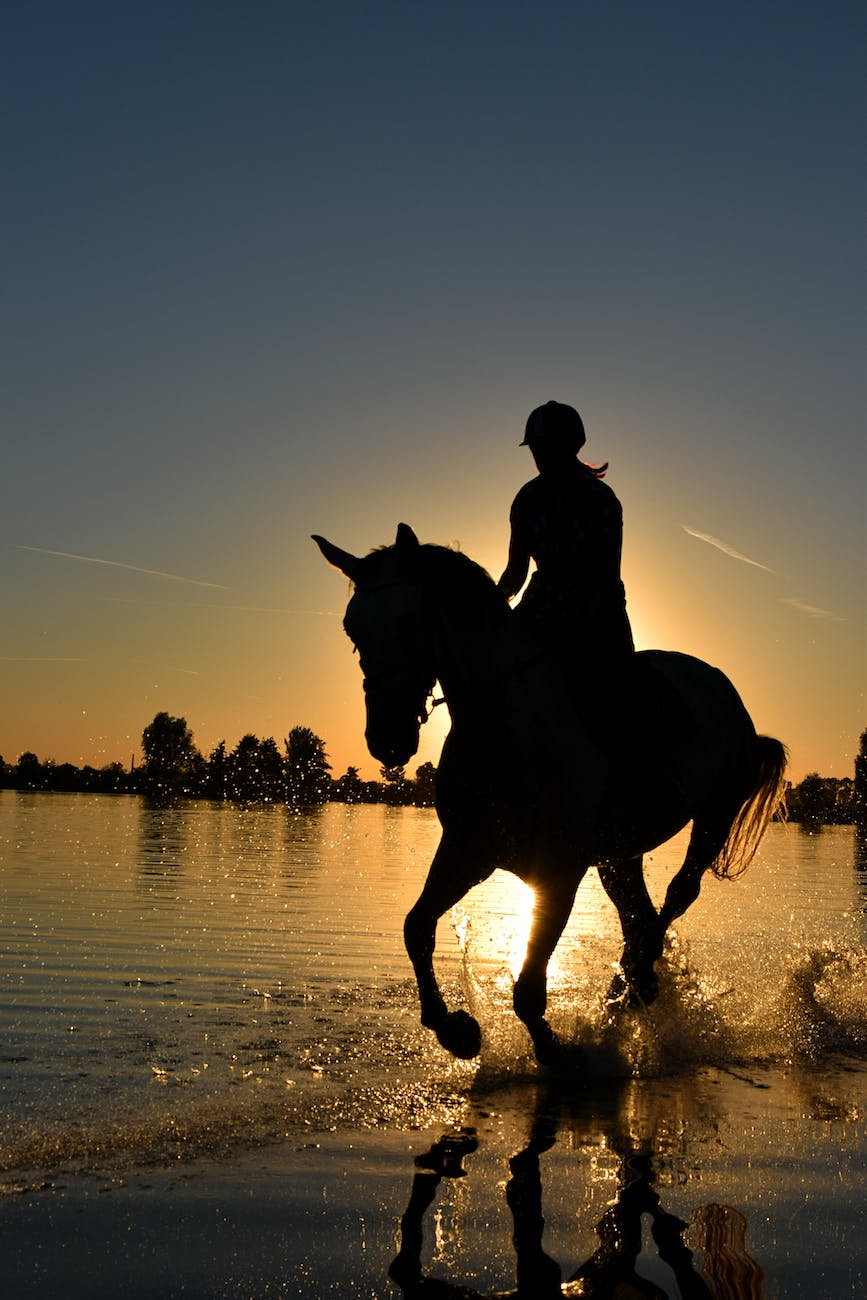 Sunday Post: Rules You Should Know About Horse&nbsp;Riding