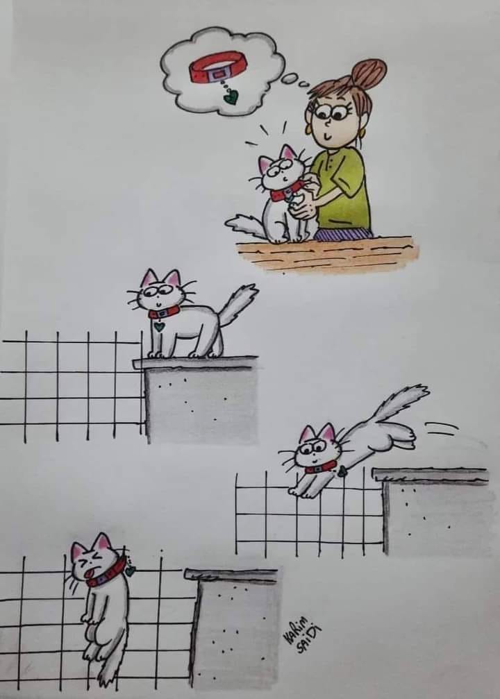 Saturday Post: Cat&nbsp;Collars