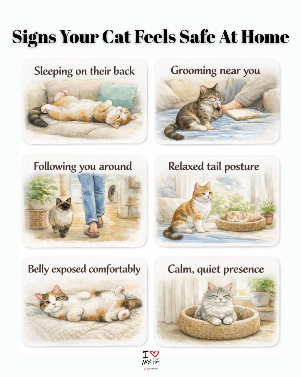 Signs Your Cat is Happy at Home