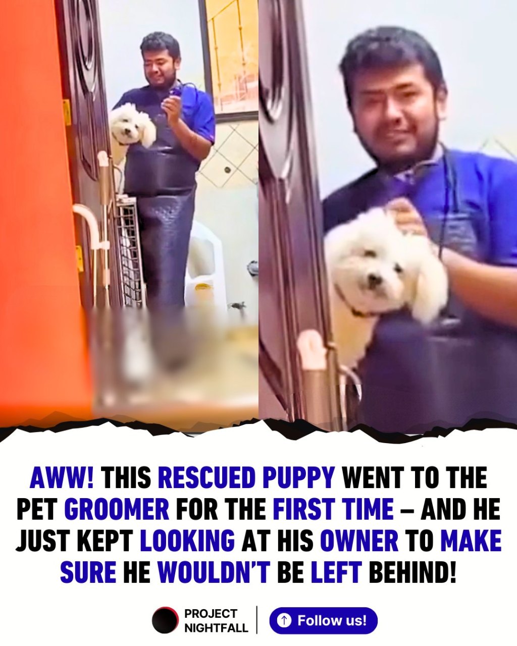 Puppy & The&nbsp;Groomer